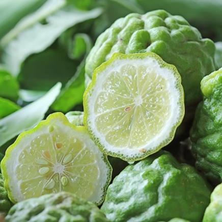 Natural active Bergamot